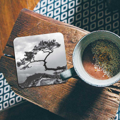 Onderzetter - Overhangende boom