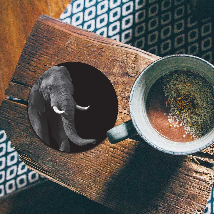 Onderzetter - Afrikaanse olifant