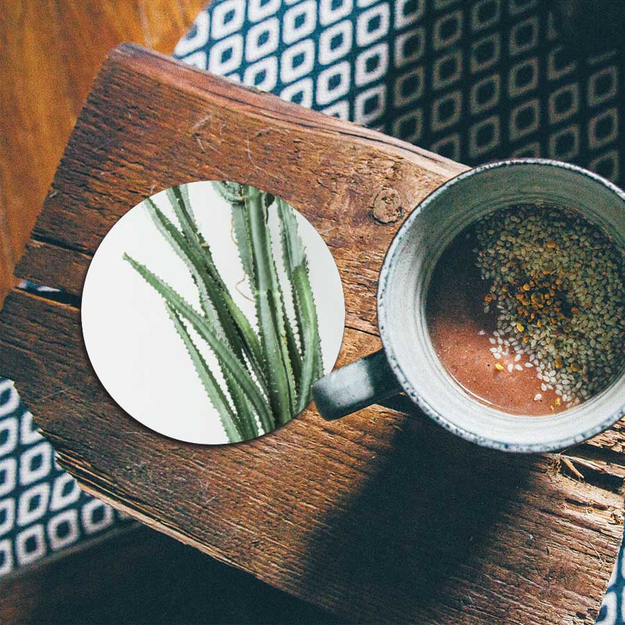 Onderzetter - Cactus