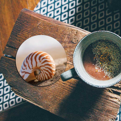 Onderzetter - Zeeschelp