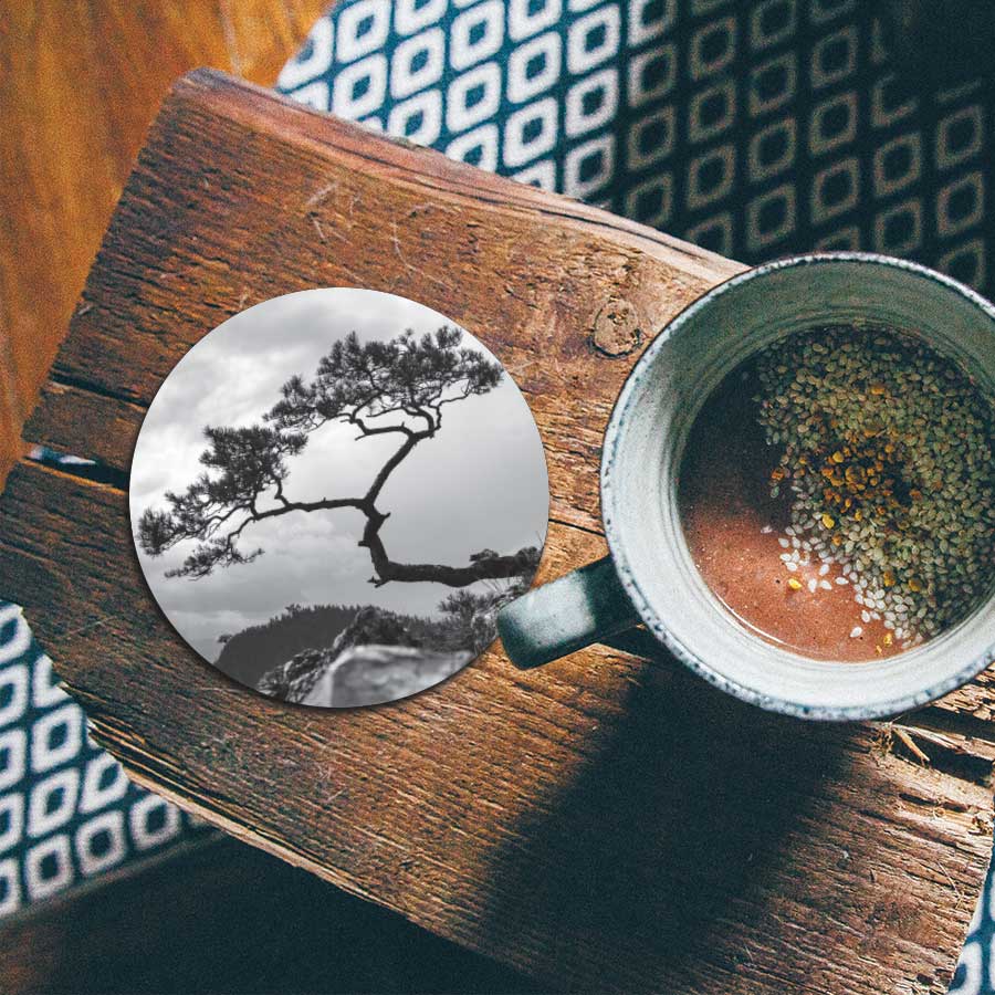 Onderzetter - Overhangende boom