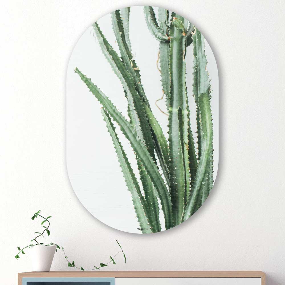 Muurovaal - Cactus - Aluminium