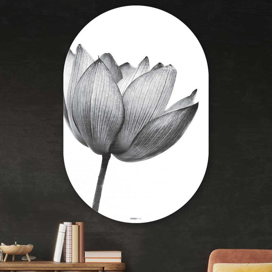 Muurovaal - Lotus in zwart-wit - Aluminium