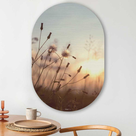 Muurovaal - Dandelion zonsondergang - Aluminium