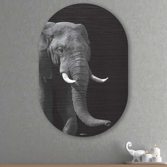 Muurovaal - Afrikaanse Olifant - Aluminium