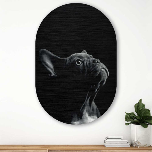 Muurovaal - Franse Bulldog - Aluminium