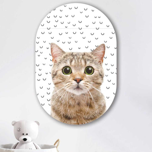 Muurovaal - Funny kat fugler - Aluminium